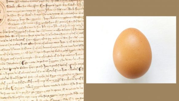 La razón, la sinrazón, el fuero y el huevo. — Anxo do Rego Narrador