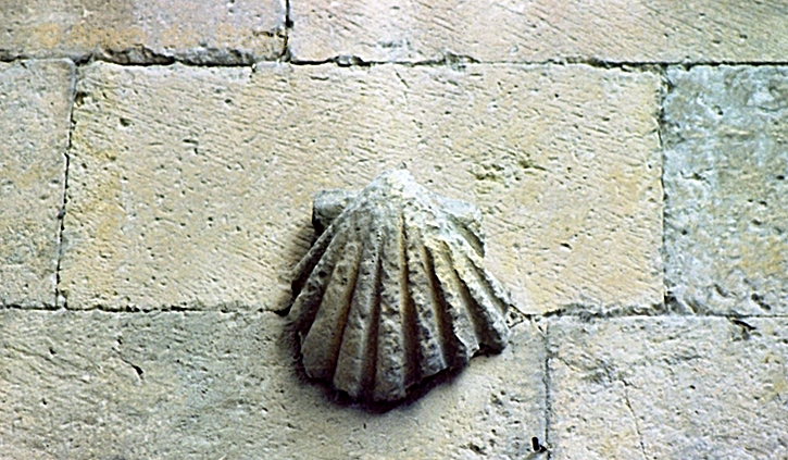 Salamanca_Casa de las conchas Salamanca_Casa de las Conchas